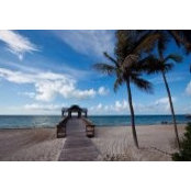 Debbie Berkebile's photo
