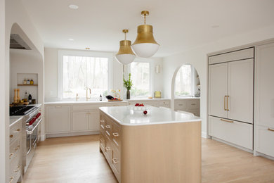 Kitchen - mid-century modern kitchen idea in Detroit