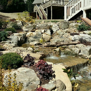 Pondless Waterfall For the Birds Pond Stars