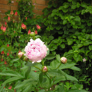 Garden of Art | Artistry Landscaping Design