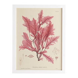 SEAWEED WALL ART &ndash; FROND - Prints And Posters