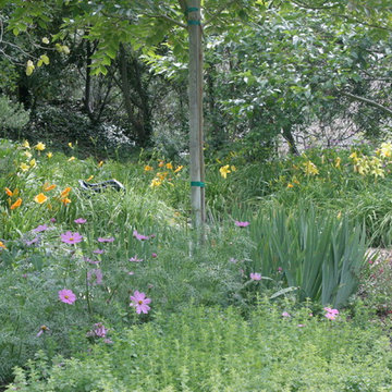 Fairbanks Ranch Edible Garden
