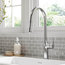 Oletto Pull-Down 1-Handle 1-Hole Kitchen Faucet, 2-Function, Chrome