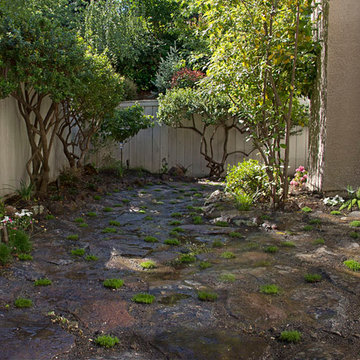 Dry Riverbed Style Before & After