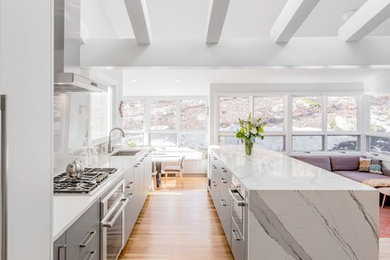 Example of a large trendy single-wall light wood floor and beige floor open concept kitchen design in Boston with an undermount sink, flat-panel cabinets, gray cabinets, quartz countertops, gray backsplash, glass sheet backsplash, stainless steel appliances and an island
