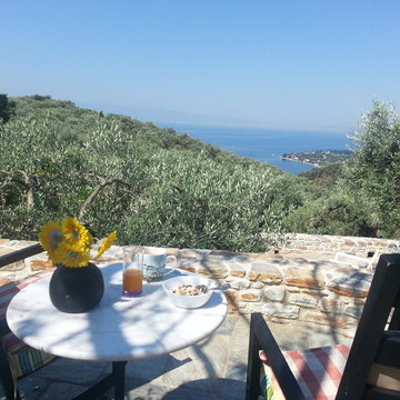 The Copper Tree Olive Grove