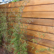 Landscape Ideas