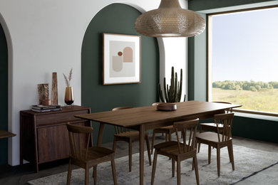 Dining room - contemporary dining room idea in Other