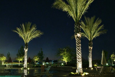 Inspiration for an expansive contemporary backyard full sun garden in Sacramento with a water feature.