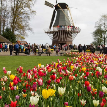 Keukenhof: World's Largest Bulb Garden