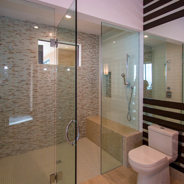 Custom Frameless Shower Door Enclosure System