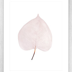 Fragile Leaves Collection - Framed Art Prints (FRAG01) - Artwork