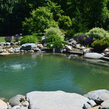 swimming pond