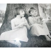 Donna Gavaris-Schafer's photo