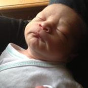 Heather Bomann's photo