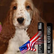 Sharon Martin's photo