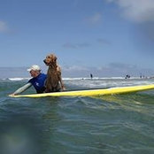 Jeff Lunsford's photo
