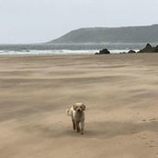 Martina Schmidt-Wolf's photo