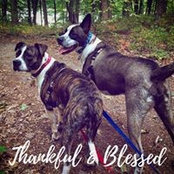 Julie Orsillo's photo