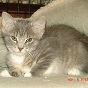 Ruth Waksmunski's photo