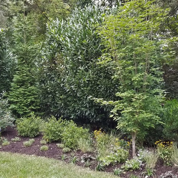 Haverford Residence