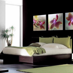Tropical Orchids - Artwork