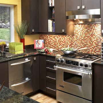 Midcentury Modern Kitchen