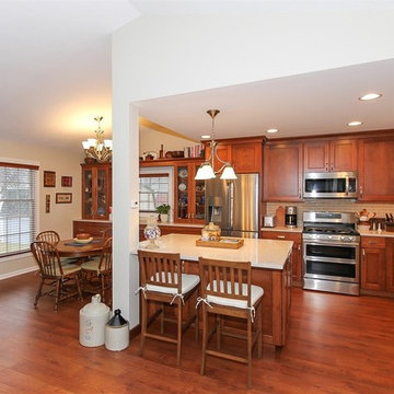 Kitchen Remodeling in a Split Level Home in Bartlett IL for Jim and Eliot K