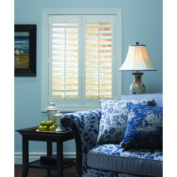 Blinds In Motion