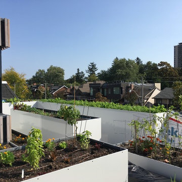 Urban Farm