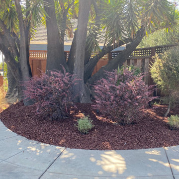 White Picket Fence & Landscaping