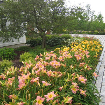Dayliliy Border along driveway