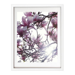 James Houston Design - Nature Series (print only) - Fine Art Prints