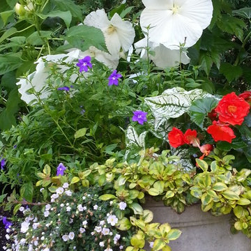 Container Gardens