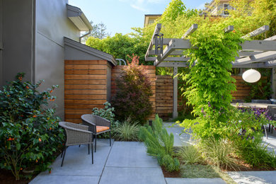 This is an example of a midcentury back patio in San Francisco with concrete slabs and a pergola.