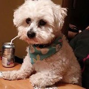 Beth Skatvold Hansen's photo