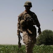 Joseph Perry's photo