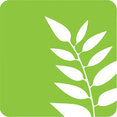 Harmony Design Group's profile photo