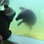 Alex Hamilton's photo