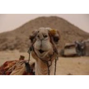 Foto von Hammad H