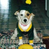 Micki Kopp Foster's photo