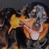 Foto von Peggy Ward