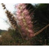 Angie Chang's photo