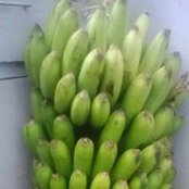 Pesh Mwesh's photo