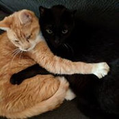 Erin Cummins's photo