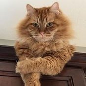 Pat Johnston's photo