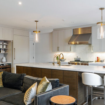 Deer Park Transitional Whole Home Renovation and Addition