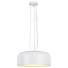 61066-2 Adjustable LED 1-Light Hanging Mini Pendant Ceiling Light, White