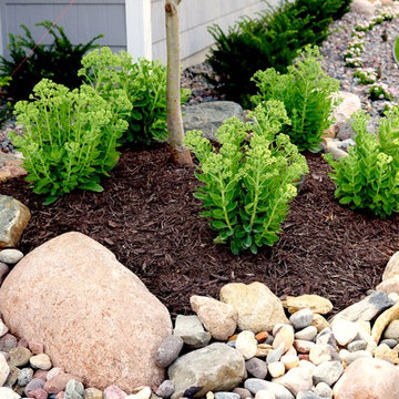Softscape (Flowers, Flower beds and more)
