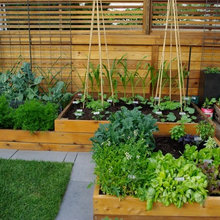 Landscape Ideas